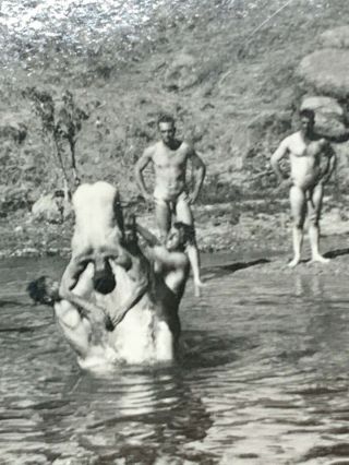 (ama) Found Photo Photograph Naked Men Flipping Swim Skinny Dip Gay Interest