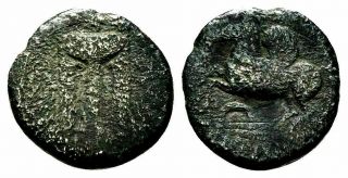 Very Rare Ancient Greece 430 - 420 Bc Bruttium Silver Triobol Pegasos Tripod