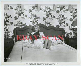 Lizabeth Scott Vintage At - Home Photo In Bed Reading Script Leggy Barefoot Pose