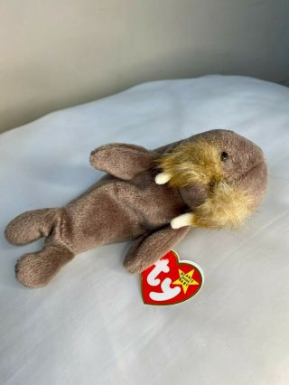 Rare And Retired Ty Beanie Baby Jolly Walrus W/ Tag Errors
