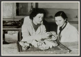 50s Medical School Girls Autopsy Anatomy Dead Post Mortem Unusual Old Photo Ussr