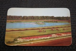 Vintage Postcard Parading To The Post,  Hialeah Race Course,  Miami,  Florida