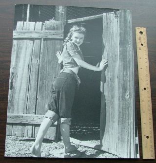 11 X 14 Mattte - Finish Photo Of Marilyn Monroe By Andre De Dienes 8/50