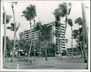 1969 Press Photo Business Apartment Building Bayshore Grande Coconut Grove 8x10