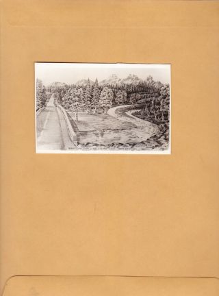 Vintage Postcard.  Maple Ridge Park The Golden Ears Haney Bc