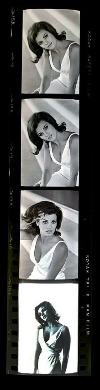 1967 Sexy Raquel Welch 4 35mm Photo Negatives Uncut