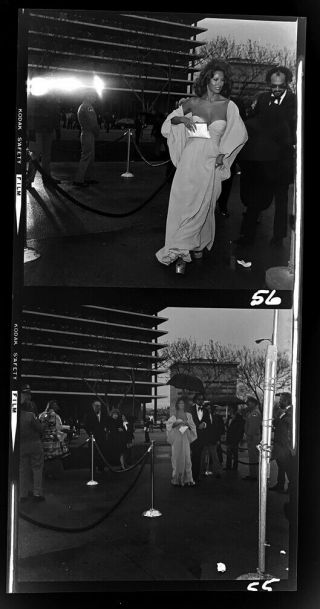 1970 Sexy Raquel Welch 2 Photo Negatives