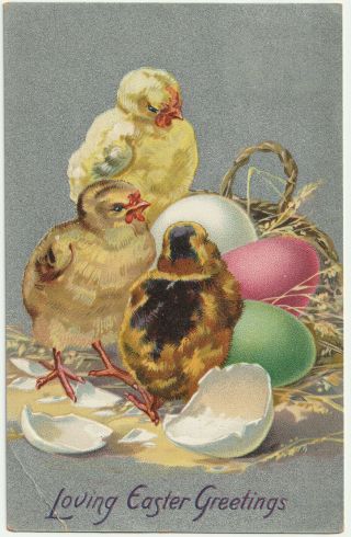C1909 Vintage Tuck Postcard Easter Greetings Chicks Eggs Embossed
