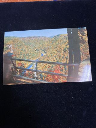 Vintage Postcard North View From Colton Point Of Pa Grand Canyon