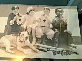 The Little Rascals Large Poster 35 " X 23 " Buckwheat,  Pete The Pup,  Darla Poster
