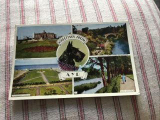 Vintage Postcard - Greetings From Ayr - Multi Picture - 1969 - R9