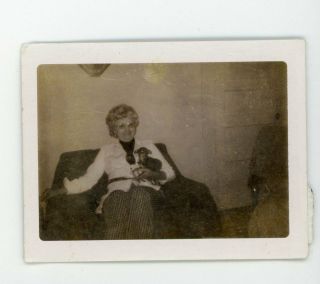 Woman On Sofa With Pet Dog Chihuahua Vintage Snapshot Animal Photo