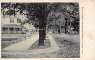 Fl - 1900’s Very Rare Florida Church Street From Myrtle At Gainesville,  Fla