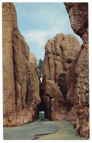 Vintage South Dakota Chrome Postcard Needles Tunnel Drive Black Hills