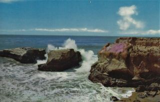 Vintage Unposted Postcard,  View From Cliff Drive,  Santa Cruz,  Cain Cleaning Out