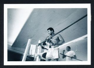 1974 Muhammad Ali,  " Rumble In The Jungle " Rare Photo From Training
