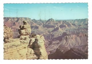Duck On The Rock Grand Canyon National Park Arizona Vintage Postcard Lo15