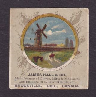 Rare Victorian Trade Card James Hall & Co Glove Brockville On Canada