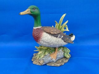 Rare Vintage John James Audubon Porcelains Mallard Figurine 1983 Duck