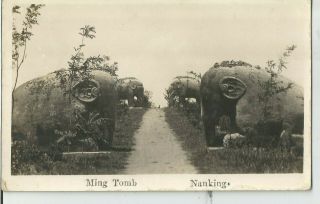 Nanking China Chinese Postcard Ming Tomb Elephants Photo Vintage