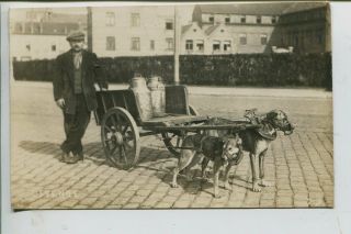 Dog Cart Milk Delivery In Ostende Belgium C.  1920 Real Photo Vintage Postcard