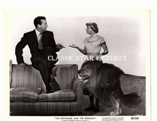 T396 June Allyson Dick Powell Lion The Reformer And The Redhead 1950 Photo