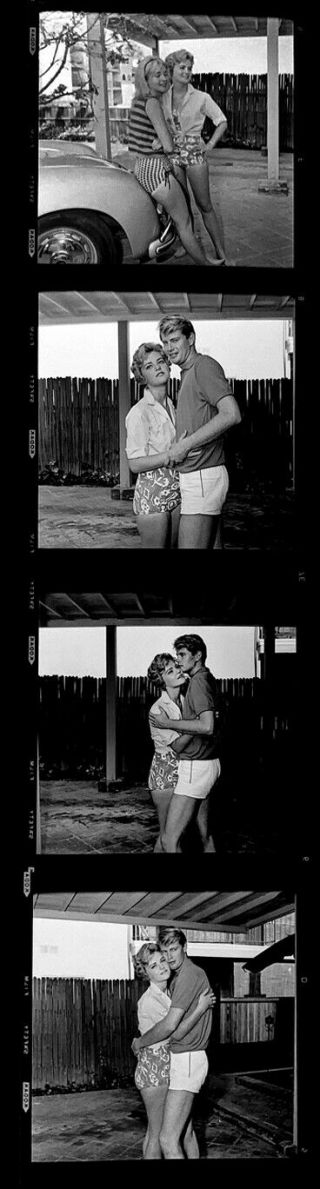 1964 Sexy Troy Donahue Alana Ladd 4 35mm Photo Negatives & Photo