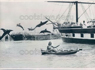 1965 Press Photo Crowd On Ship Pretty Woman In Canoe Leaping Dolphins Hawaii