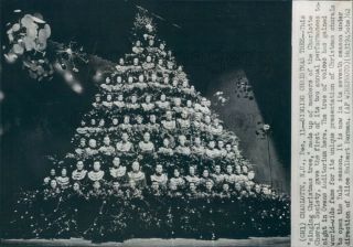 1962 Press Photo Singing Christmas Tree Charlotte North Carolina Choral Society