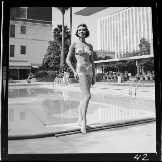 Vtg Photo Film Negative Sexy Swimsuit Model Los Angeles Fashion Show Deweese 1