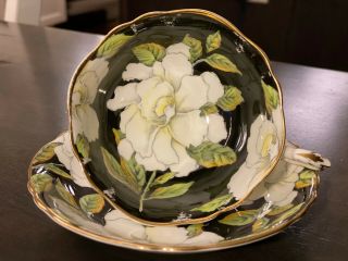 Rare Paragon By Appointment White Gardenia On Black Gold Gild - Tea Cup & Saucer