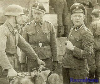 Rare Pair German Elite Waffen Hauptscharführer 