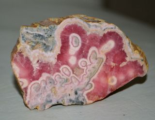 Rhodochrosite Stalactite Slab From Argentina Deep Red Rare