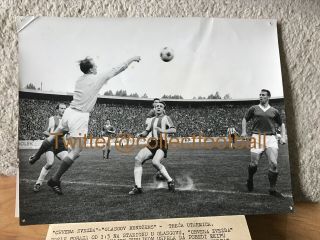 Rare Press Photo Red Star Belgrade V Glasgow Rangers 1964