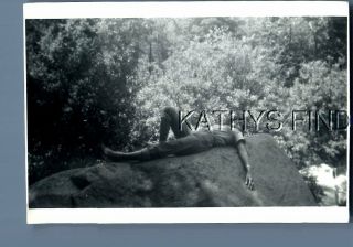 Found B&w Photo V,  0616 Man Laying On Large Rock In Forest