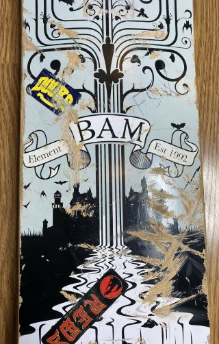 Vintage Element BAM MARGERA Logo Castle/ Bats Skateboard Deck 8in x 31in RARE 3