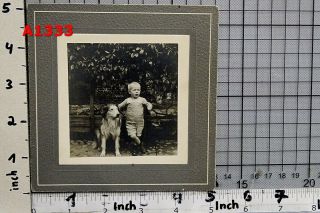 1920s Vintage Photo Cute Little Boy W Collie Dog Friend