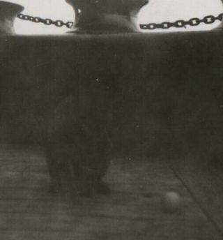 Vintage Black and White Photo Cat On A Ship With Ball 2.  25 