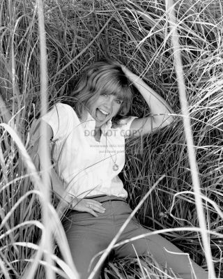 Olivia Newton John In The Hay - 8x10 Publicity Photo (fb - 250)