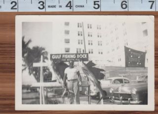 Vintage Photo Huge Fish Hanging By Proud Man Cars Miami Beach Florida
