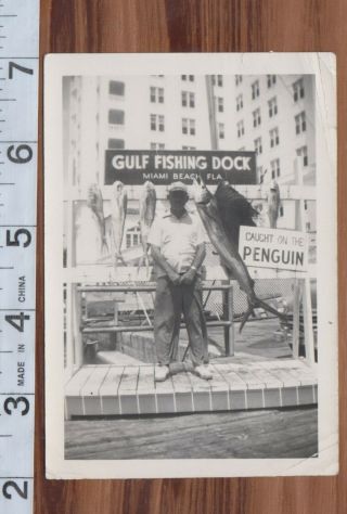 Vintage Photo Huge Fish Caught Miami Beach Florida Caught On The Penguin Sign