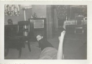 Vintage Photo Of Lady With Naked Foot 1950s Fetish Mcm Nylons Stockings Barefoot