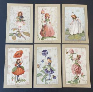 Fantasy Flower Fairy Postcards Set Of 6 A/s Margaret Tarrant Faulkner 923