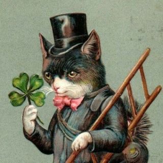 Anthropomorphic Lucky Chimney Sweep Cat Top Hat Clovers Antique Postcard Emboss