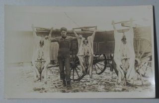 Butcher In Overalls Next To Butcher Wagon Early 1900s Postcard Rppc 8213