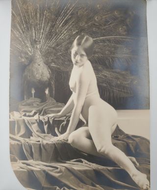 1920s Xan Stark Nude Risqué Olive Ann Alcorn Photo Post Card Photographs 2