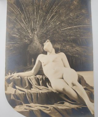 1920s Xan Stark Nude Risqué Olive Ann Alcorn Photo Post Card Photographs 3