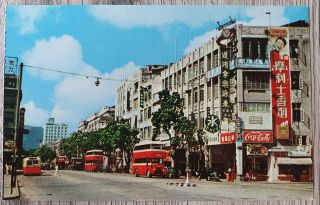1950/60s Hong Kong Nathan Road W/ Busses Signs Kowloon Postcard China Hongkong