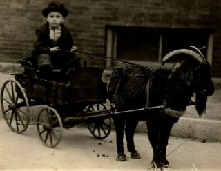 Young Boy With Black Goat And Wagon Carriage 1916 Era Rppc Postcard Rr1