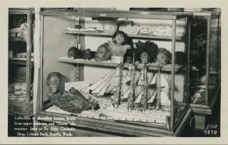 Rare Shrunken Head Tsantsa Mummy Postcard.  Curiosity Shoppe.